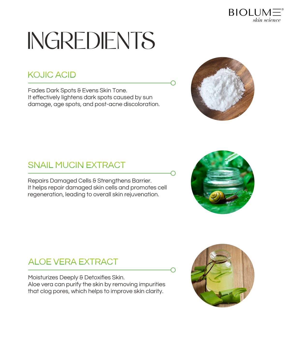 Snail Elixir - Brightening Serum for Dry Skin