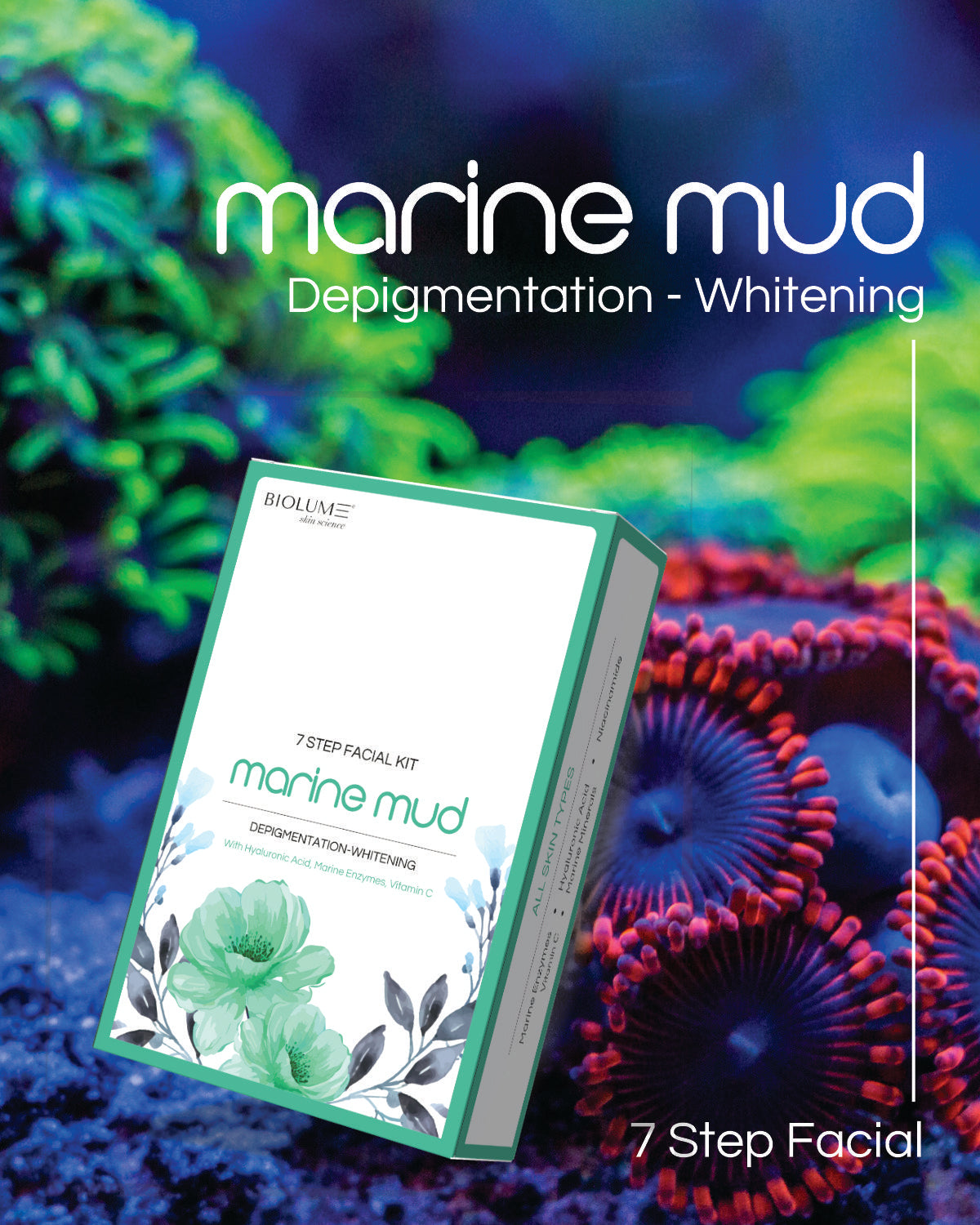 Marine Mud - 7 Step Facial