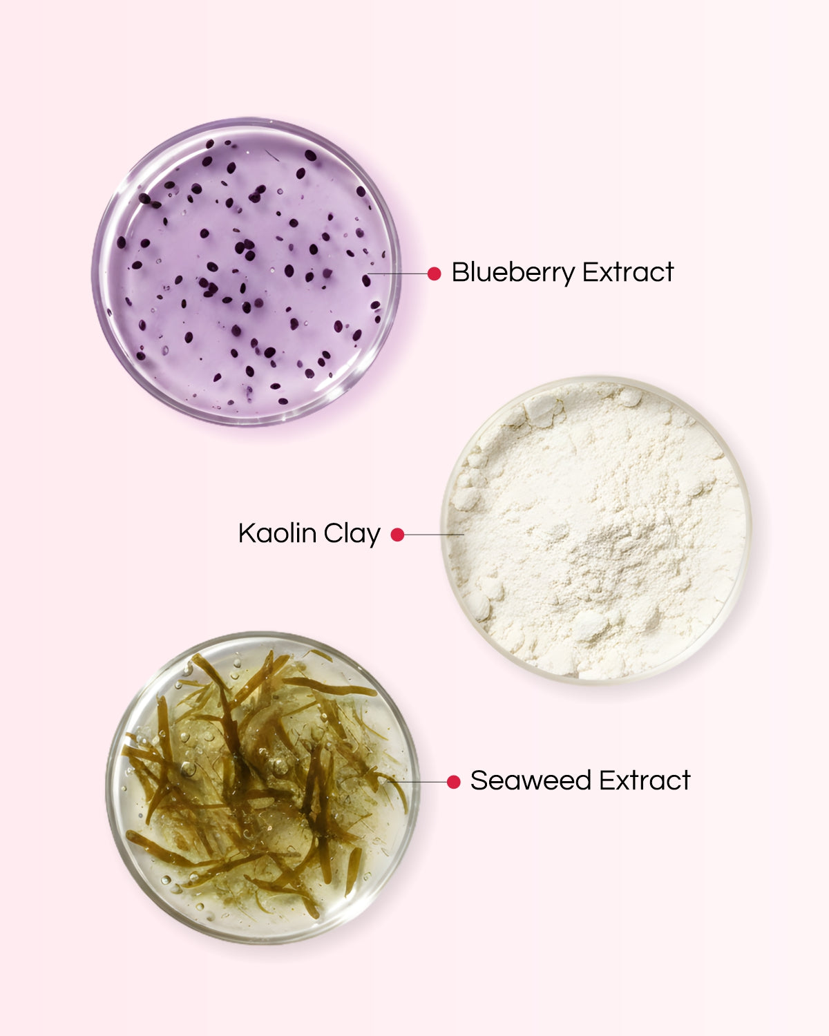 Berry Blast - Mould Mask