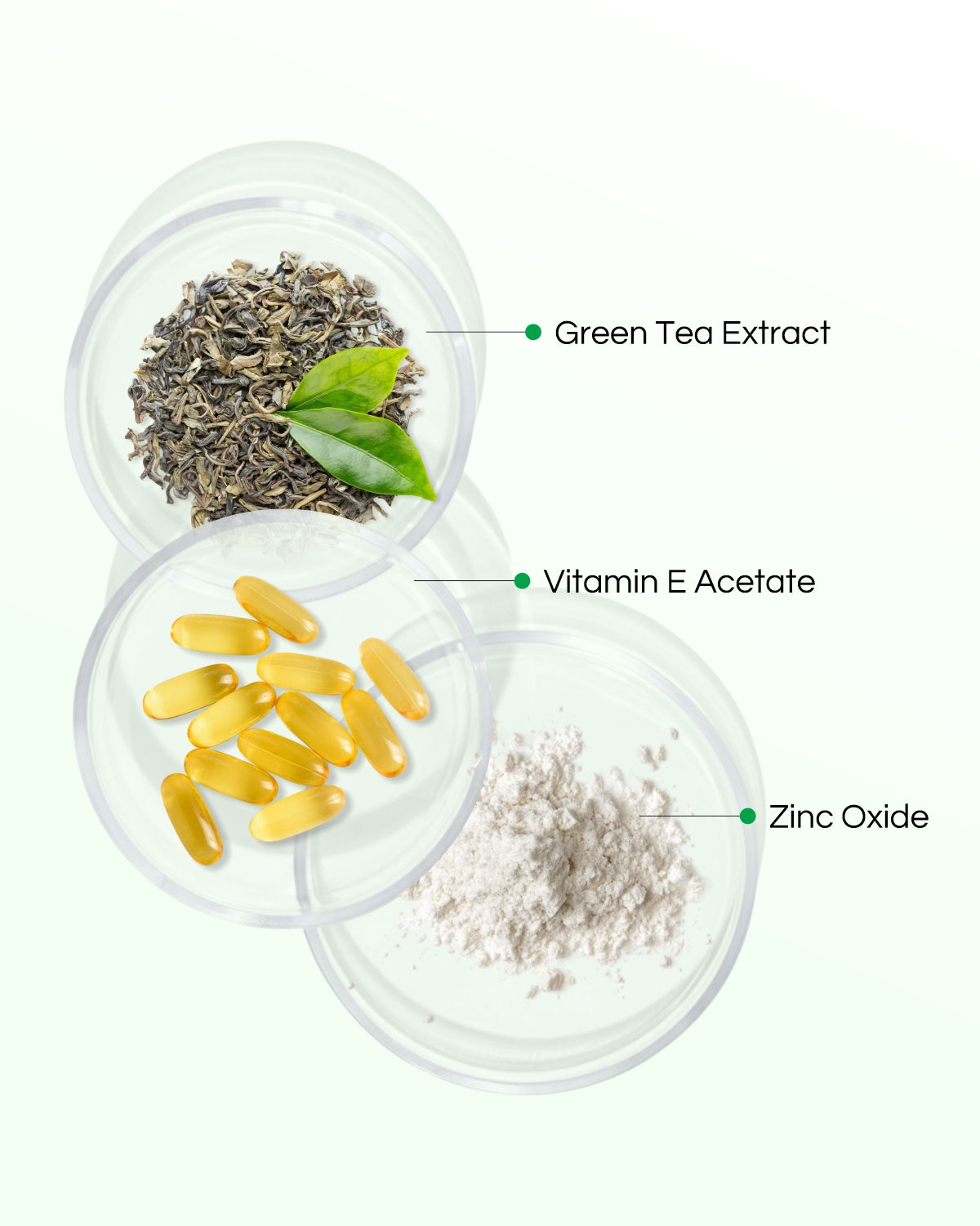 Bija Green Tea - 10 Step Facial