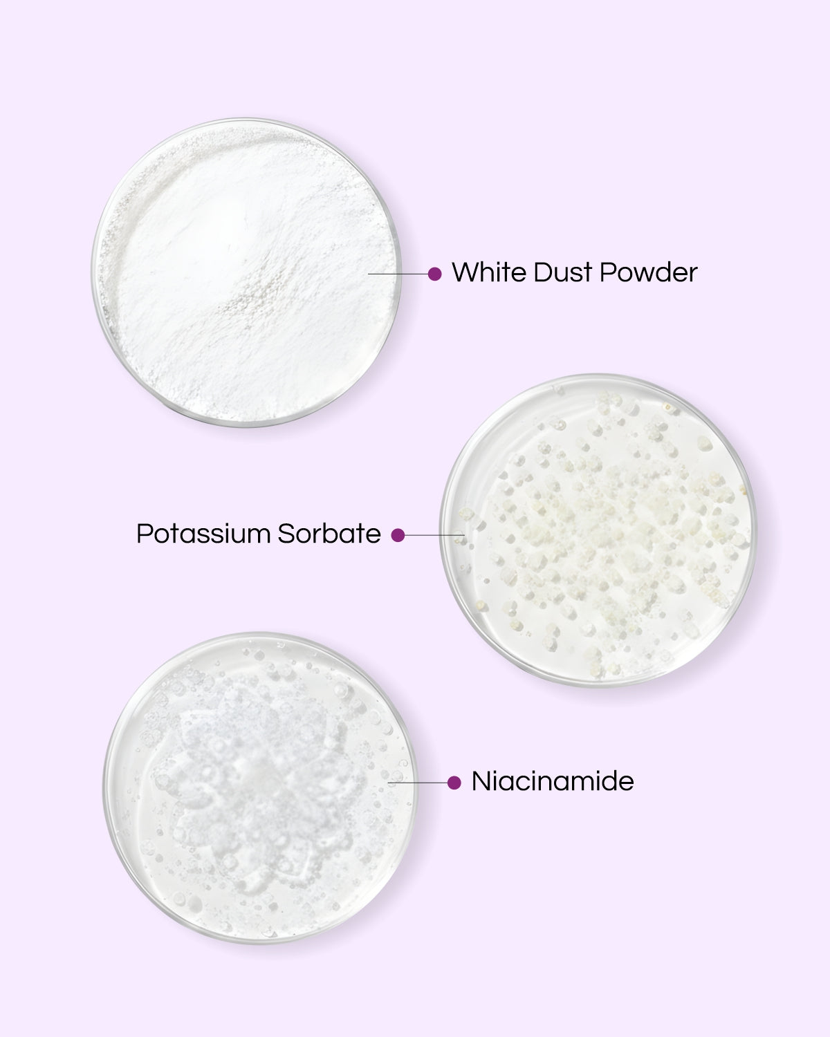 Collegen + Elastin - Mould Mask