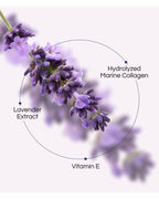 Midnight Collegen Boost - Night Cream