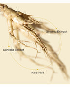 Centella Phyto - Renewing Bright Day Cream