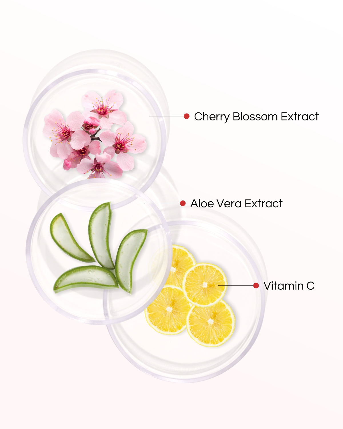 Jeju Cherry - 8 Step Facial