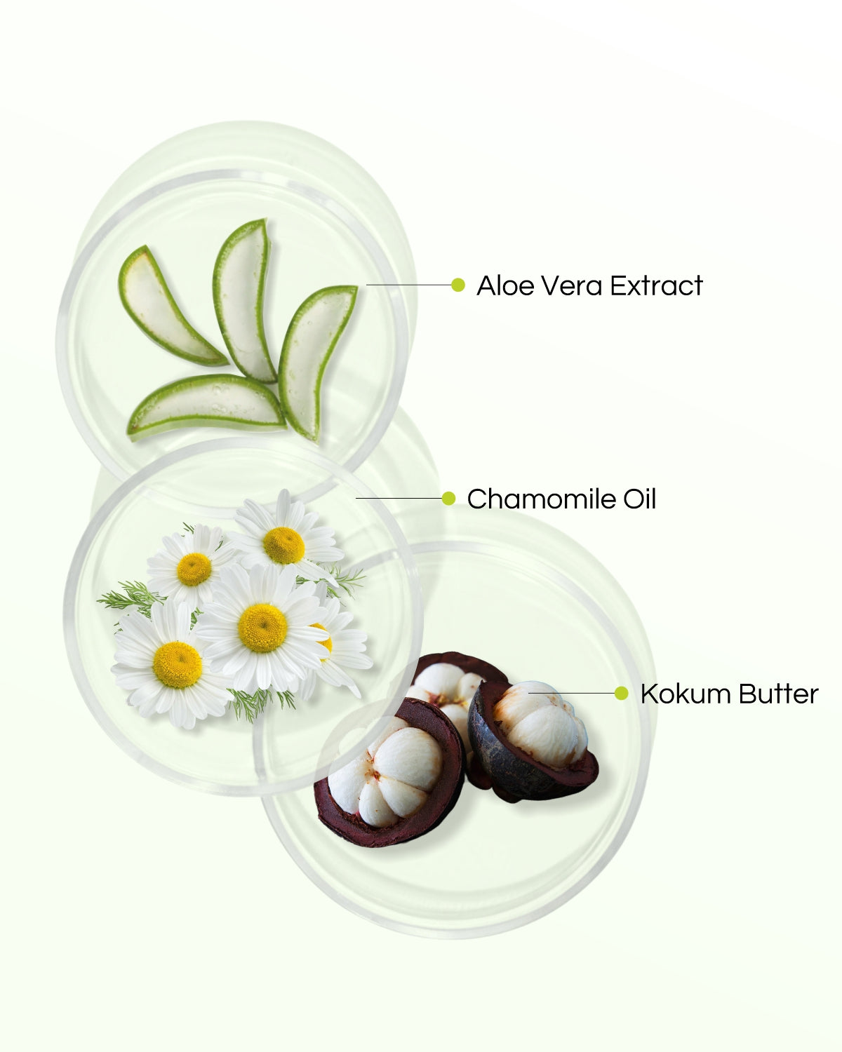 Kaolin Aloe - 8 Step Facial