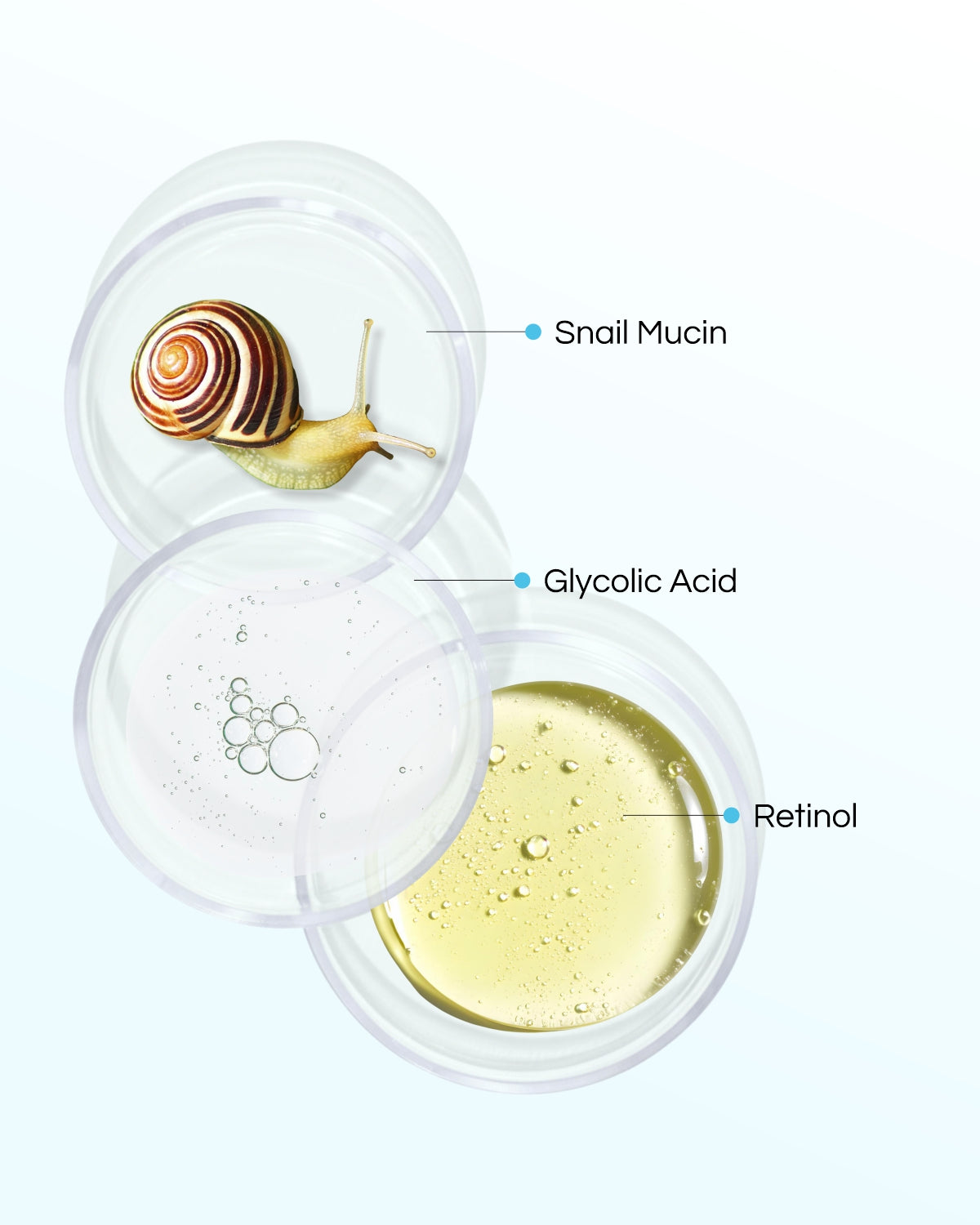 Snail Mucin - 8 Step Facial