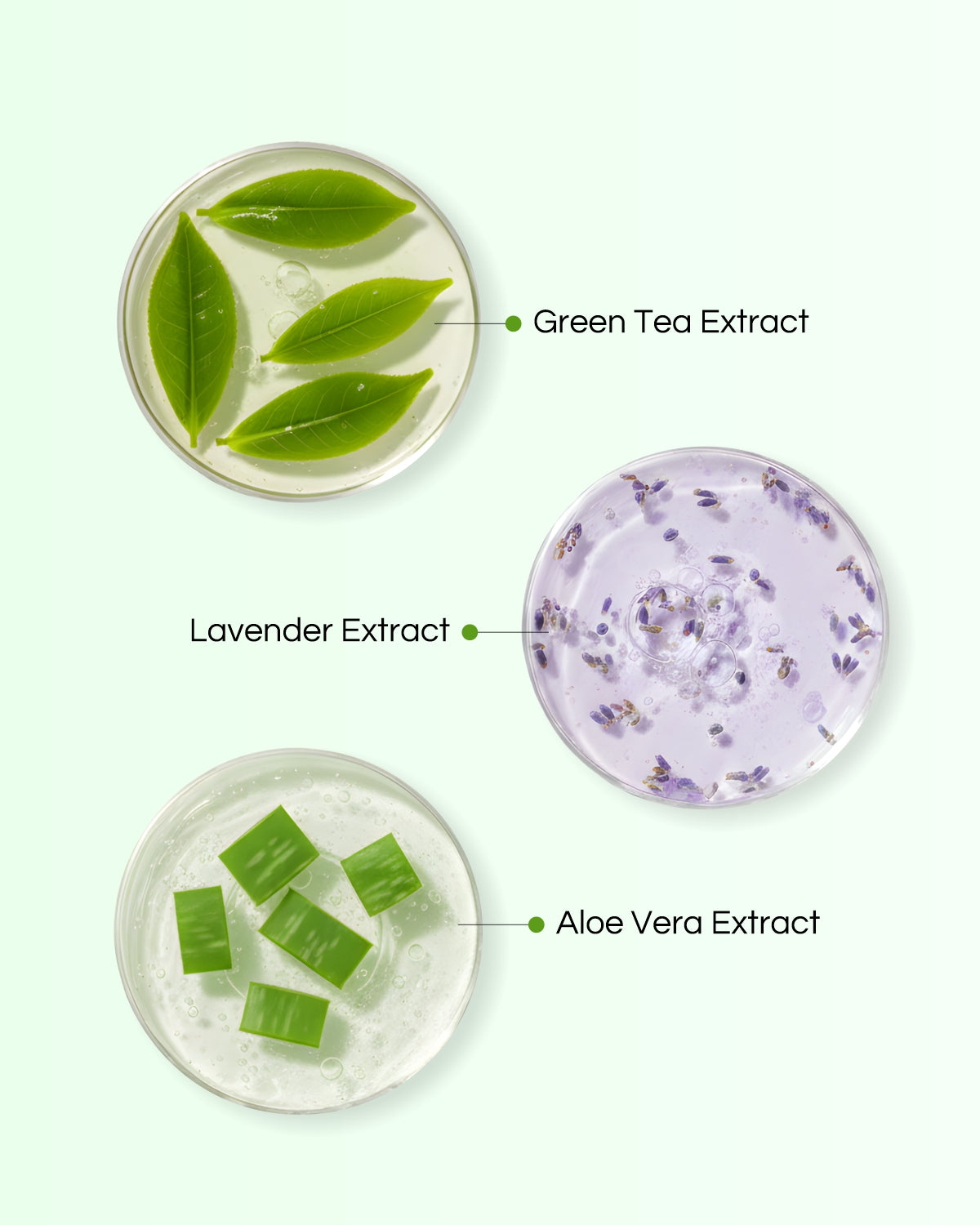 Tea Tree + Aloe - Mould Mask